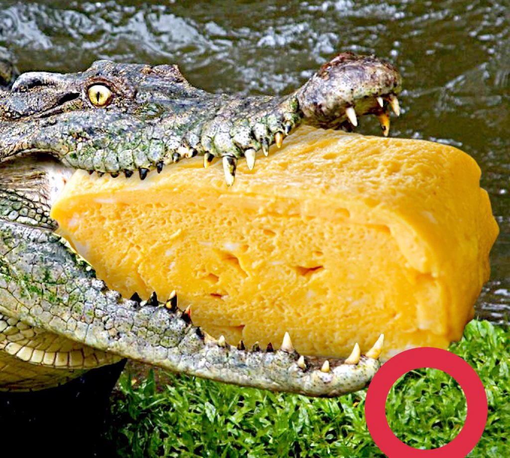 @America_Amazon 舐めすぎです。一瞬でわかりました。 