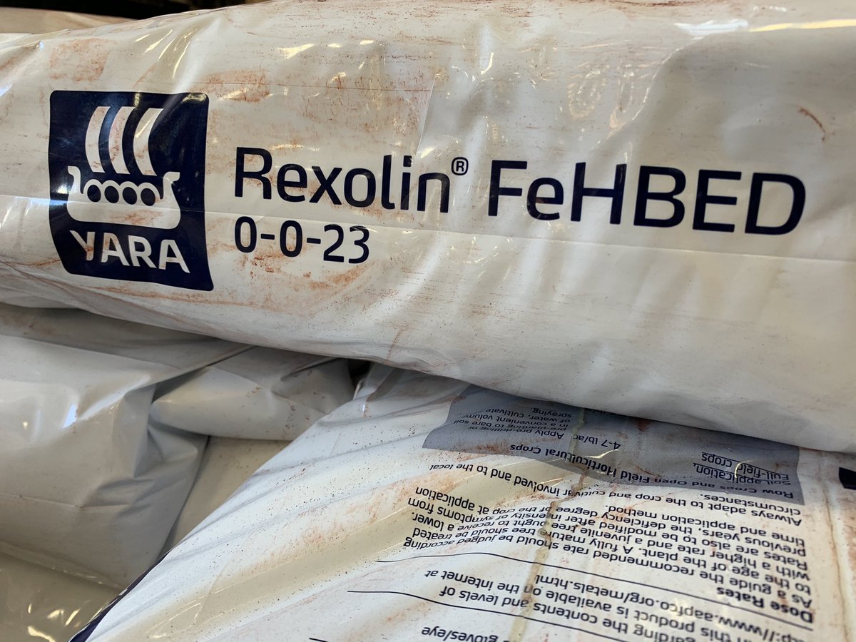 Neil Iverson tweet media