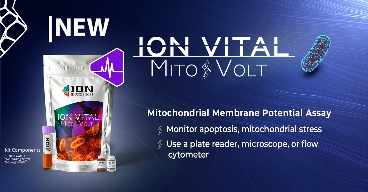 MitoVolt - Optimized to detect changes in mitochondrial membrane potential. An ideal solution for screening large compound libraries. ionbiosciences.com/product/ion-vi…

#mitochodria #membranepotential #mmp #hts #apoptosis #necrosis #cellhealth #cellresearch #biotech #biochem #drugdiscovery