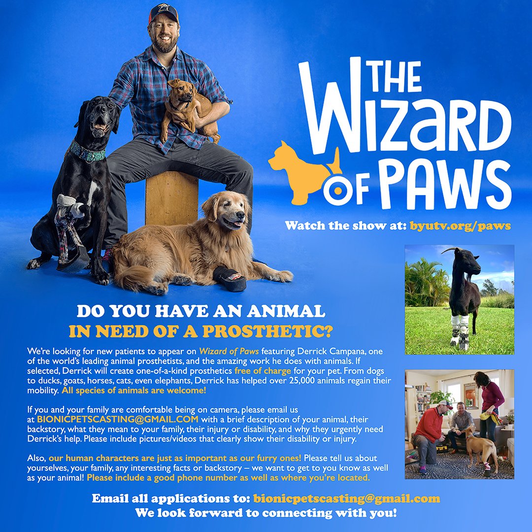 Do you have an animal in need? Casting call for #TheWizardOfPaws! <a href="/WizardofPawsTV/">The Wizard of Paws</a> #tripawd #tripawddogs