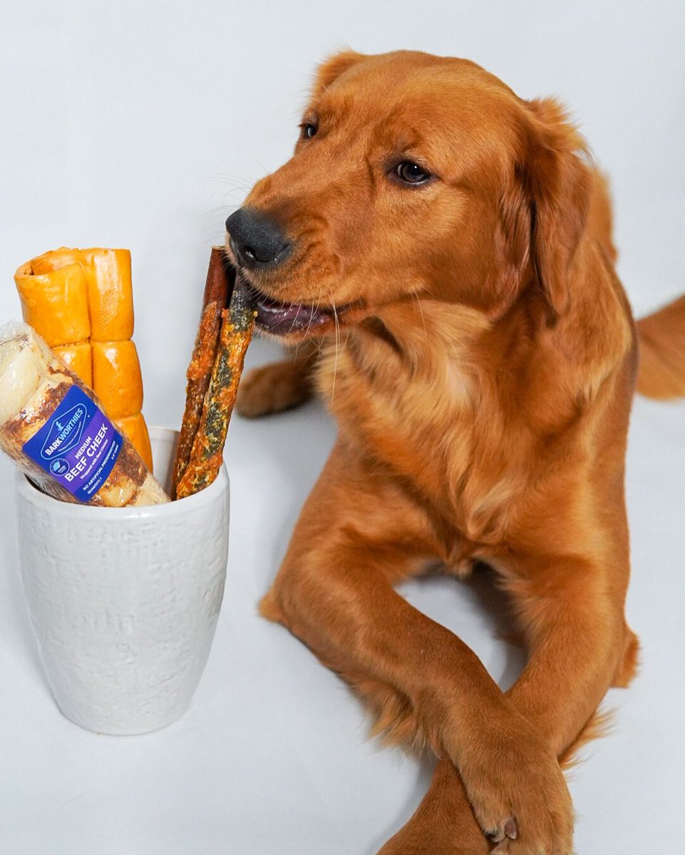Looks like Margo has a delicious #barkworthies assortment to choose from! Our Chicken-Wrapped Collagen Sticks are the best of both flavors; all-natural beef with healthy collagen for skin and joint support with protein-rich chicken for an energy boost!
