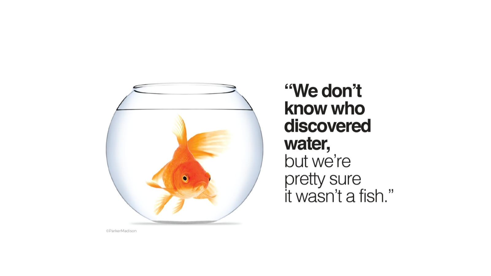 CultureTalk on Twitter "We've often used the 'fish in the fishbowl' analogy to illustrate how
