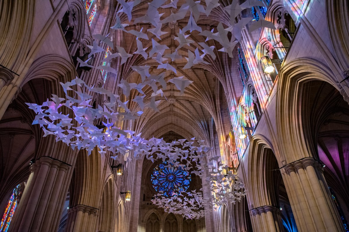 Washington National Cathedral tweet media
