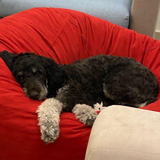 Frances Kalu tweet media