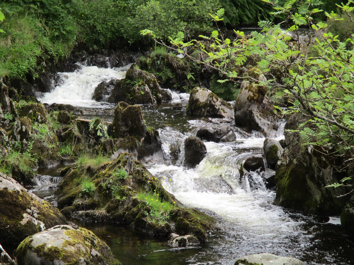 steven_thomas29's tweet image. A few people have asked me about the titles of my novels on Amazon Kindle- they are &apos;Learning to Hug Again&apos; and &apos;Friends in the Lakes&apos;. Both set in the Derwentwater area and both can be read on any device via the Amazon cloud reader. Only £3 each! #KindleBooks #LakeDistrict