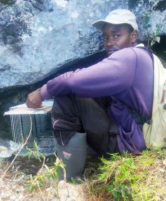 EPICislands's tweet image. 4/4 #WSCT7 #ToolSesh2 Grenadines local stakeholder management group developing priority actions. In 
Haiti, monthly trapping of cats, rats and mongoose. Thank you @USFWSIntl @USAID @ABCBirds @BirdsCaribbean &amp;amp; 
SVGEF