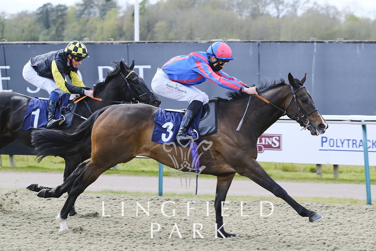 Great to get another winner @LingfieldPark today with the cheeky chappy “Creek Harbour” delighted for owner Helen Hawkins & family @abbiehawkinsx . Top work from the team at home and a great ride by the very talented @VilliersAngus 👌