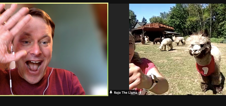 chodacki's tweet image. #commallama @CSVConference