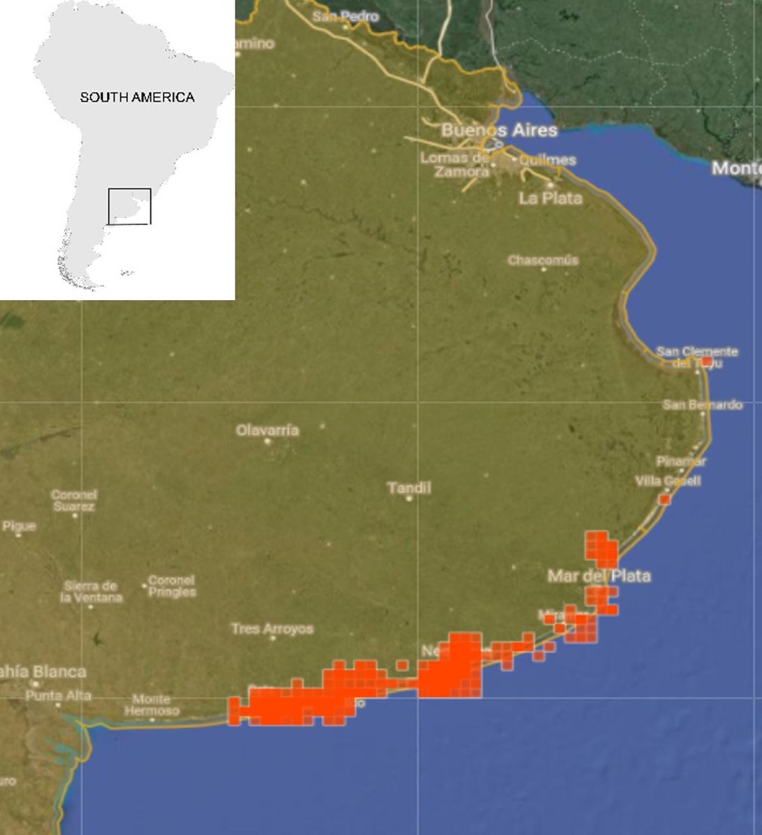 LeandroTamini's tweet image. 2/4 #WSTC7 #ToolSesh2 #CitizenScience Using #Argentinat #INaturalist during last year 31 #ECOFAM volunteers spent 570 hours recording 936 carcasses of 31 species, including 839 #seabirds (21 sp.) mainly #penguins, 95 mammals (8 sp.) mainly sea lions, and 2 sea turtle (2 sp.)