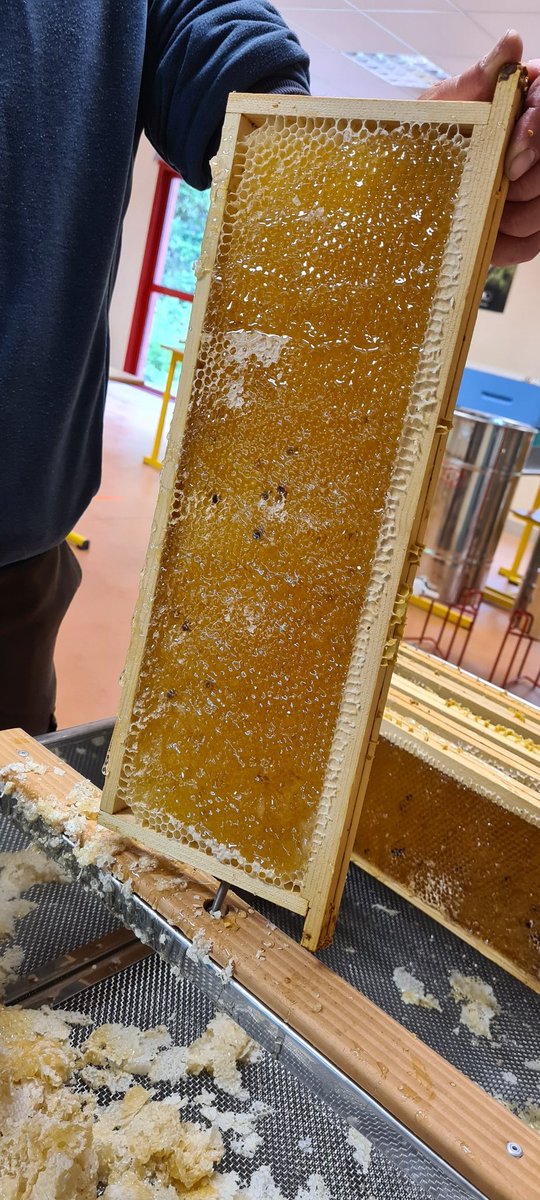 SChadignac's tweet photo. Les filles ont bien travaillé, il y aura du miel pour les Foliflores ! 🐝🌸🍯 https://t.co/w6QJlctxwp