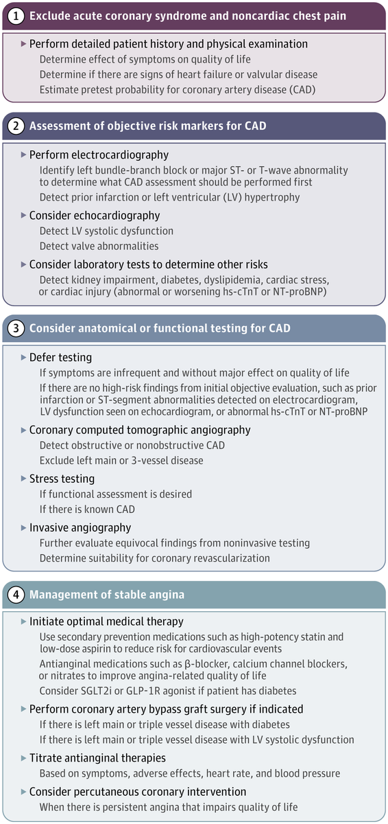 SeguraCardio's tweet photo. 📌Diagnosis &amp; Management of #StableAngina: Excellent #Review at @JAMANetwork 
#CardioEd #RadialFirst #Echofirst https://t.co/8oIqMN52E6