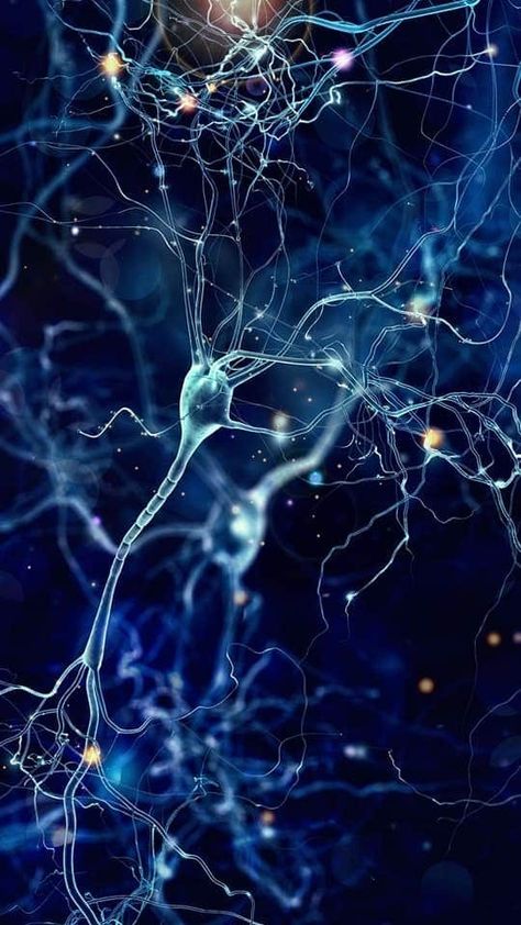 The fact that the COVID-19 pandemic will have a widespread impact on the way we are doing business is well-known. But how does the COVID-19 pandemic affect the Biotechnology industry? 
Read our blog here: omnivistech.medium.com/the-impact-of-… 

#covid #biotechnology #research #innovation