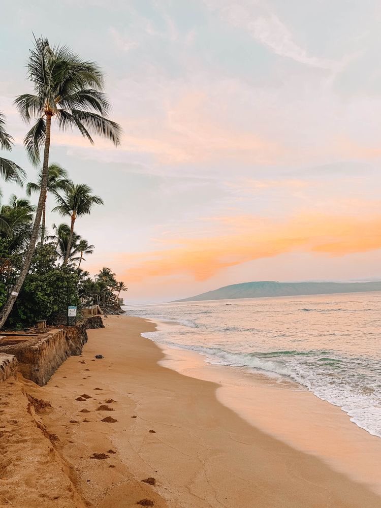 travelgoalsonly's tweet photo. I’m somewhere on a beach 🏝 https://t.co/X5WMUCw0SQ
