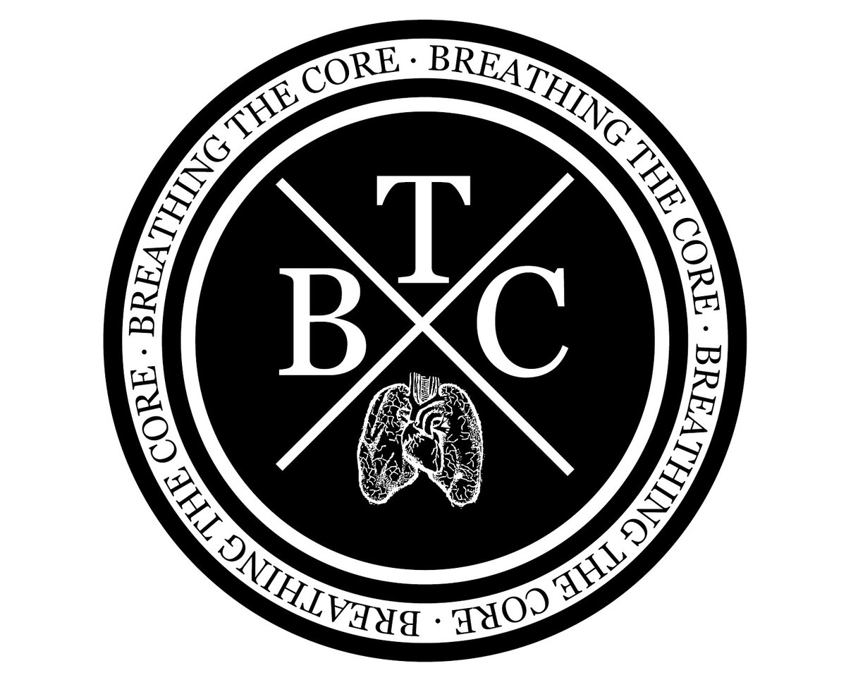 Check this nice interview here from this amazing metal magazine! breathingthecore.com/2021/05/interv…

amethystzone.com/breathing-the-…
