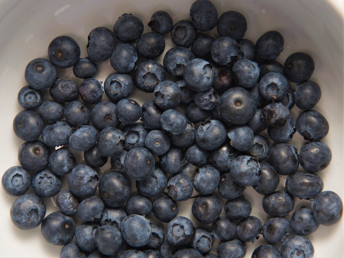 Blueberries are in season in Mississippi! Checkout our newsletter on blueberries to learn more! 

happyhealthy.extension.msstate.edu/newsletters/ha…

#HappyHealthy