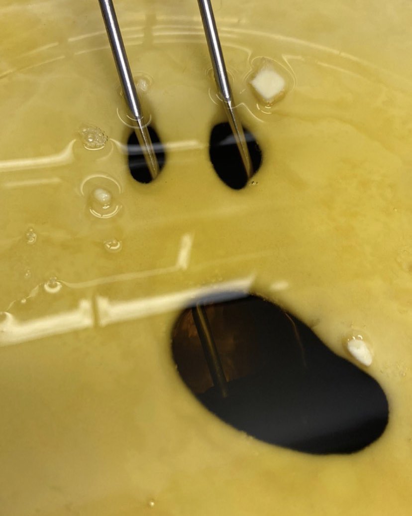 Mein Sohn meint, an Hashtags wie #iseefaces würde man 50+er erkennen. Pffttt... der hat doch keine Ahnung. #jetzterstrecht #alswirnochalbernwaren #web2.0