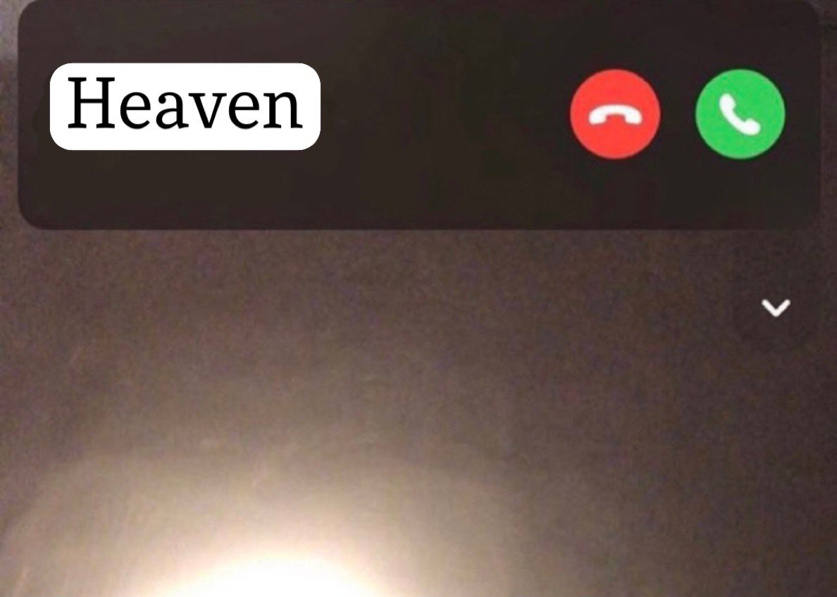 kokorashell's tweet image. this the one fr