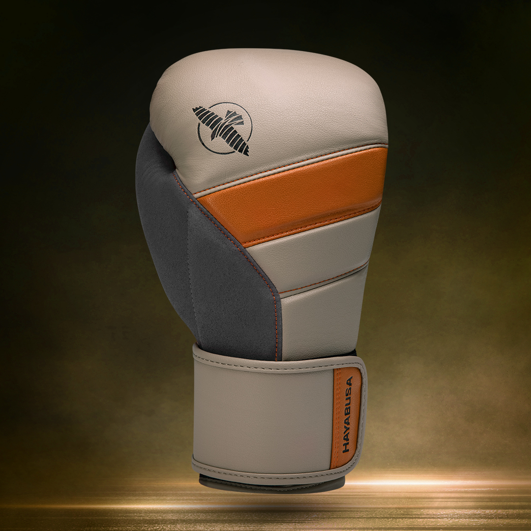 Hayabusa tweet media