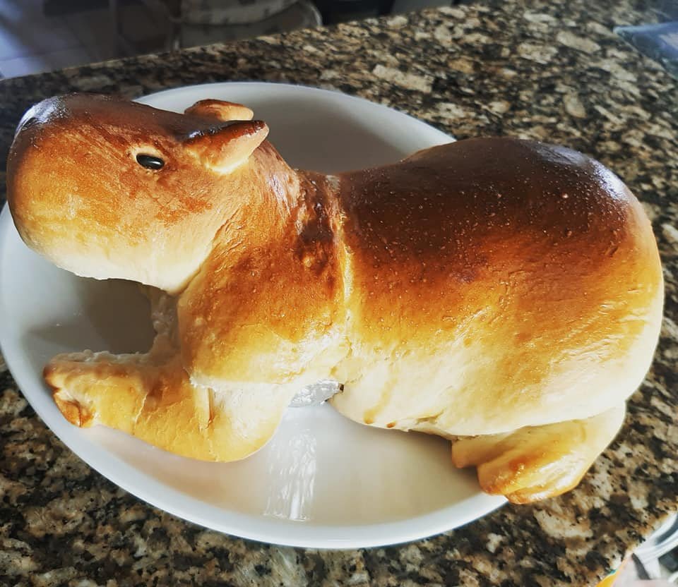 CAPYBARA_MAN's tweet photo. Capybara bread! 🍞 https://t.co/Dpk49M7BU0