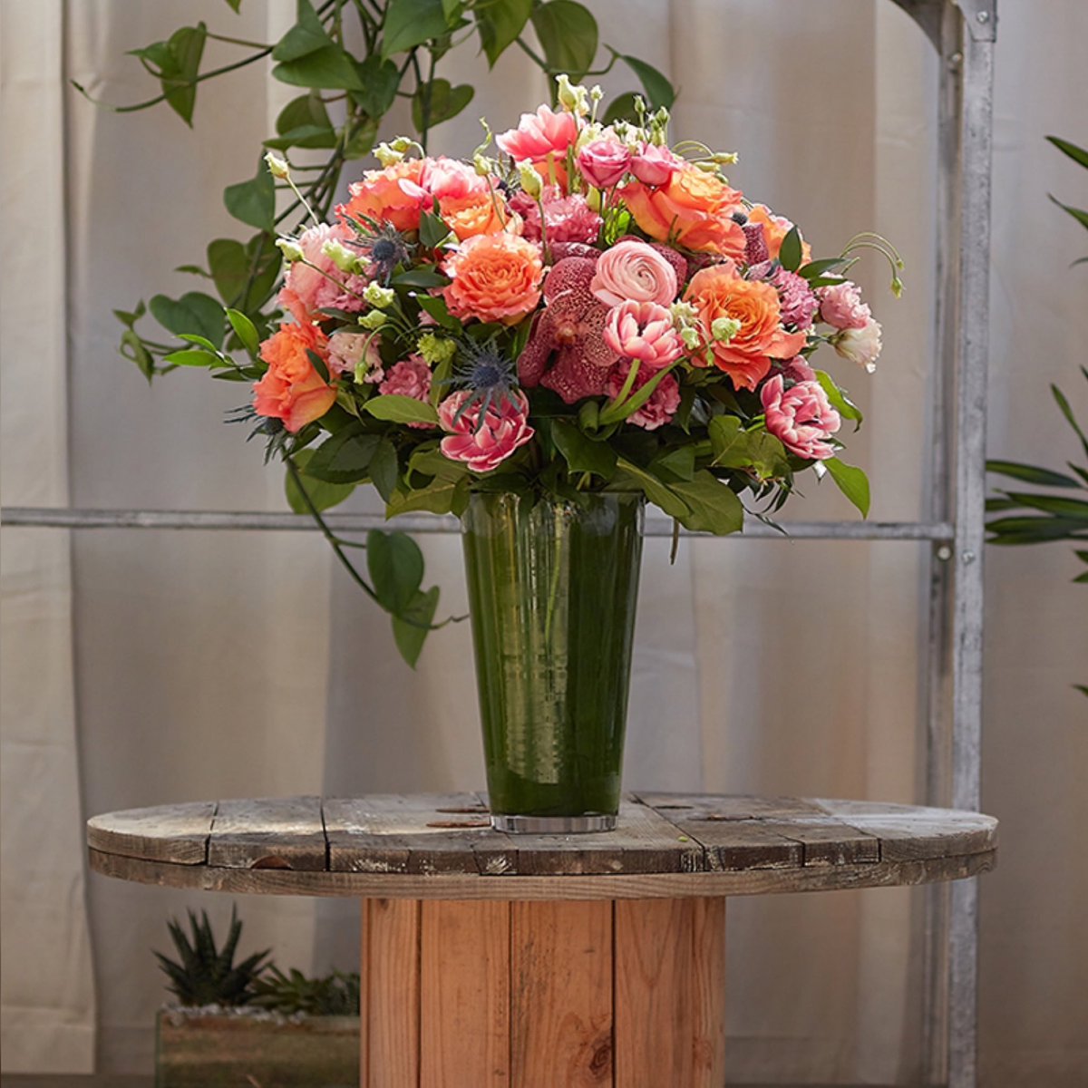 EliteAmenity's tweet photo. Create A Memorable Mother’s Day this year with ELITE Preferred vendor QG Floral &amp; Landscape! 
 
From premium flowers to stunning arrangements, they are your one-stop-shop for all of your Mother’s Day needs! 

@QGFloral https://t.co/FGFsPlwSLc