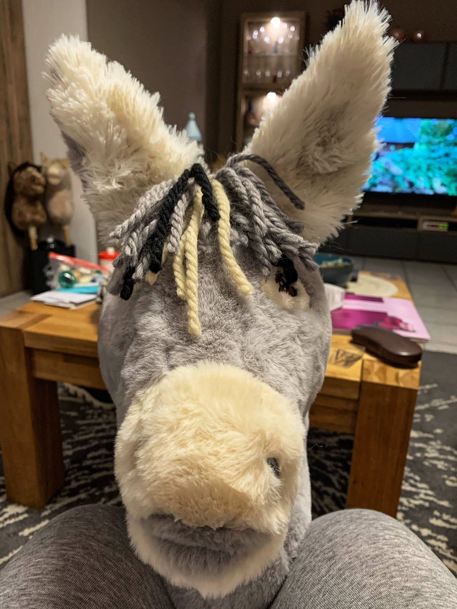 Die Frisur ist noch etwas eigenwillig 😂 #hobbyhorse