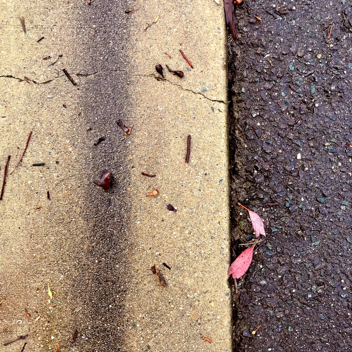 Ben Gooden 🌈 tweet media