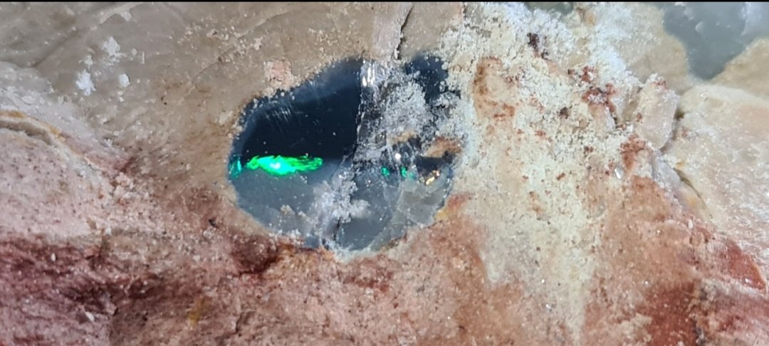 GlobalOpals's tweet photo. A Glimmer Of Hope ⛅ Green on Black in the face! 💚🖤
.
.#alwayshopeful #bepositive #opal #greenopal #opalrough #opalmining #solidopal #genuineopal #lightningridge $nsw #australia #globalopals https://t.co/hgB3w0hY6w