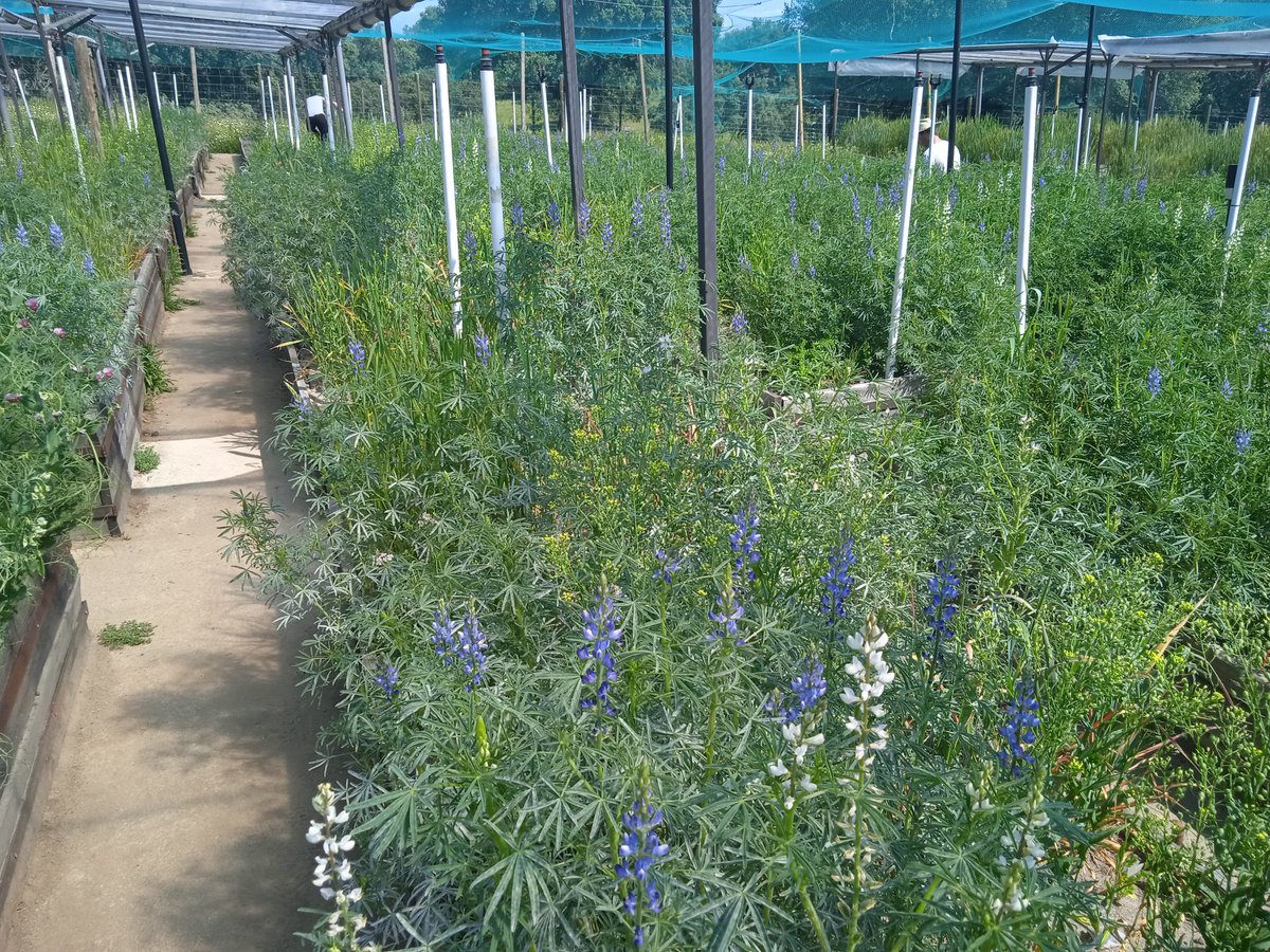 Christian Schöb tweet media