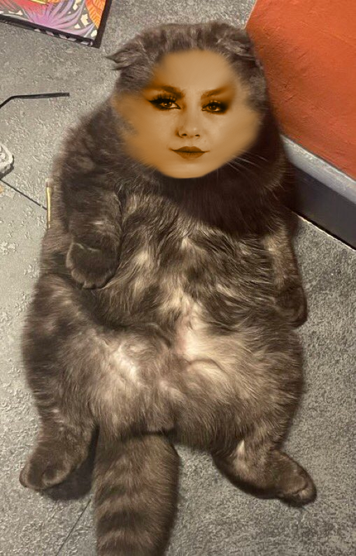 Minx on Twitter "cat girls are ruining my life. COMFY HOODIE.…