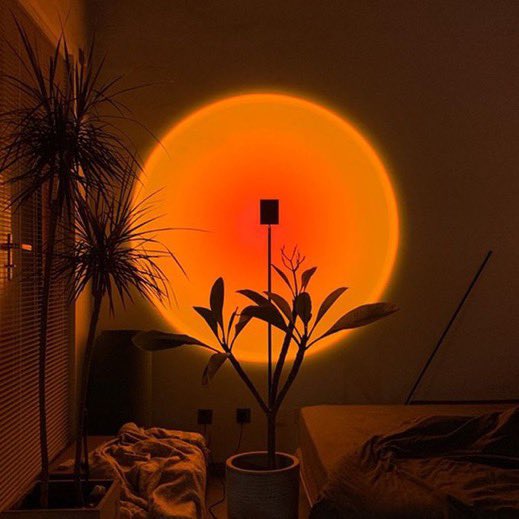 i actually love these LMFAO.Get your room a sunset Iamp ! https://sunsetic.com/products/lamp 