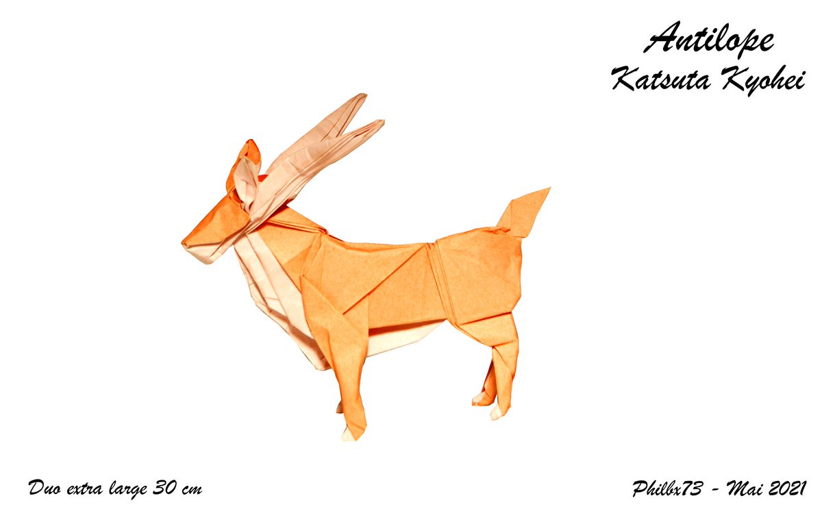 Antilope de Katsuta Kyohei