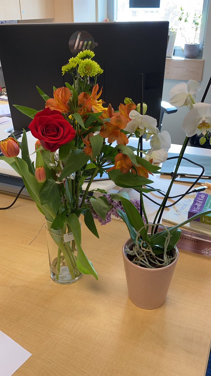 Lindsey Eisenstein tweet media