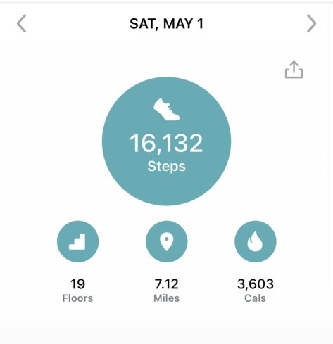 GreenCityMarket's tweet photo. Sooo our team walked a combined total of over 100,000 steps on opening day. 👟 And we’re ready to do it all over tomorrow at our first Wednesday market since 2019 (!!!) Catch us in Lincoln Park tomorrow, 7-1, rain or shine. #greencitymarket #willrunforfood https://t.co/tGna52tsGM
