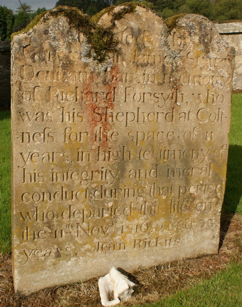 tourscotland's tweet photo. Tour #Scotland virtual travel Blog of #Richard #Forsyth gravestone in #Dalserf on ancestry, genealogy, #Scottish family history visit and trip to #South #Lanarkshire An esteemed local shepherd who died on 11th November, 1816, aged 82 https://t.co/Lgr9CS9I2w https://t.co/GQgjeoSPll