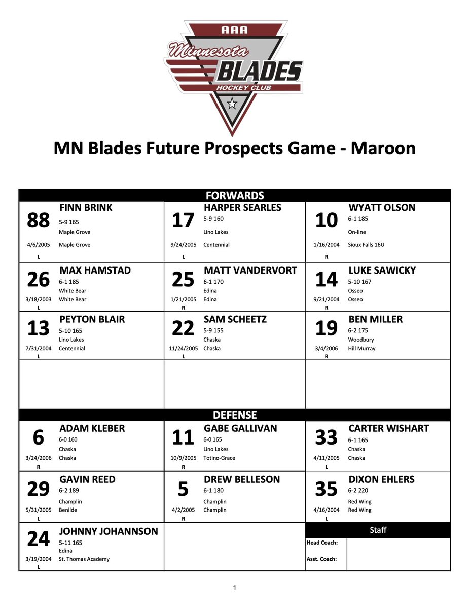 Minnesota Blades tweet media