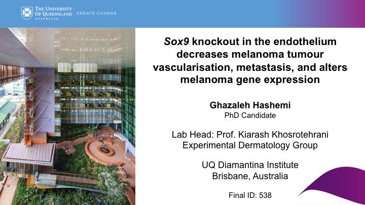 I am excited to present some of my PhD work on #melanoma tumour vascularisation and metastasis at the <a href="/SocInvestDerm/">Society for Investigative Dermatology</a> annual meeting.