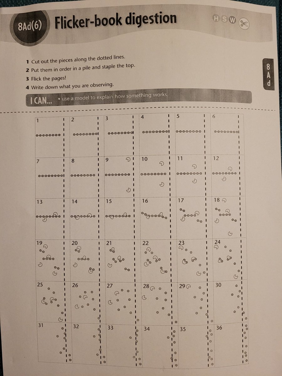 cathalmaco's tweet photo. Test running this neat Flicker book on digestion tmw w 1st years. Iv a couple early finishers  who'll be kept busy with this creative model to explain how something works. #jcscience #BW4 #sciencemodels #STEAM https://t.co/nodh5XoZ6B