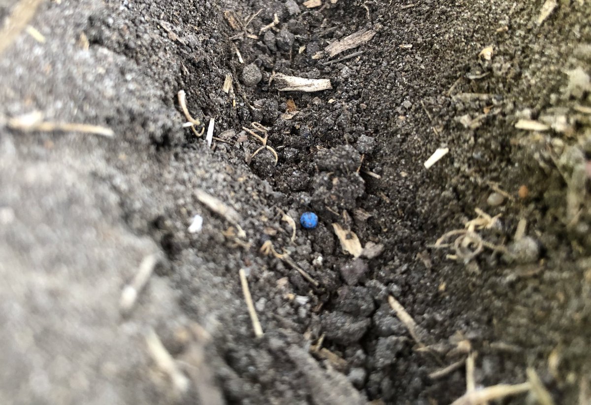 Some canola getting put in E of Regina at #BennettFarm. It was cold here this morning, but that was the goal. The majority of the canola goes in later.