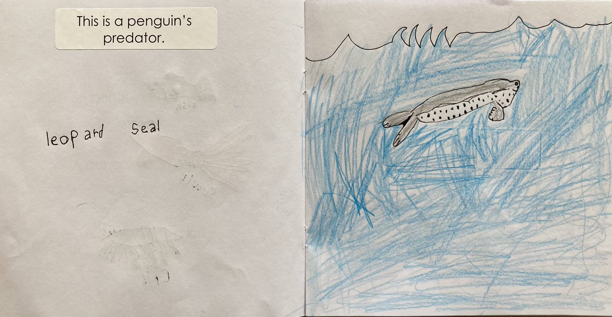 mrs_prangnell's tweet photo. Our kindergarten friends were SO proud to read their books to family and friends. Thank you @calgaryzoo for teaching us about penguins and inspiring our research. Here’s a sneak peak of what was inside. #CBELiteracy https://t.co/A8ieuSYFU0