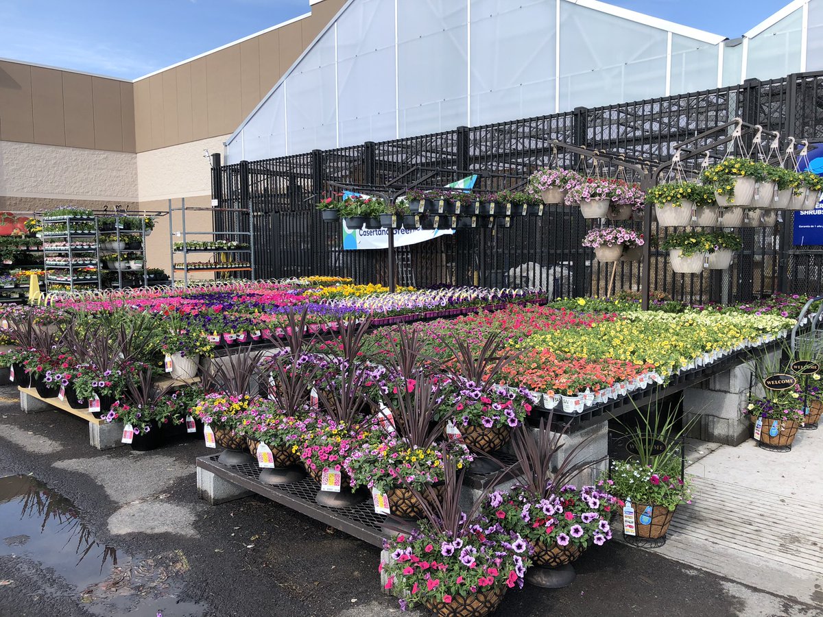 AlanF-Battlefieldfarms tweet media