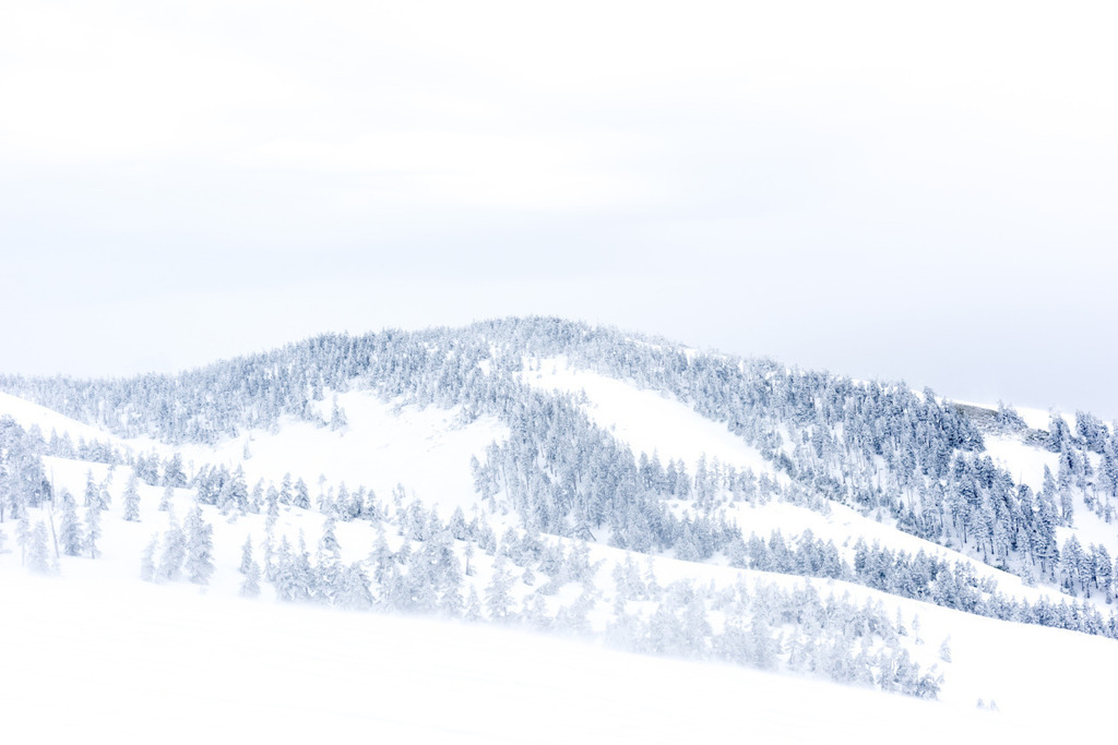 RoomF's tweet image. Pain is Mindfulness.

Mt. Makihata, Nigata ift.tt/2PPCxWl