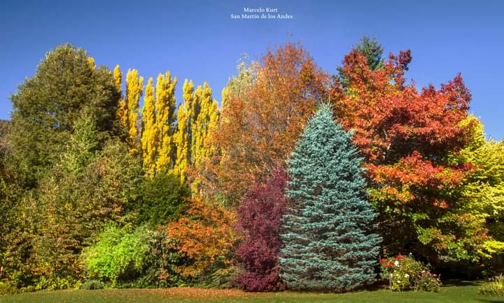 LarribiteLuis's tweet photo. San Martín de Los Andes.
Patagonia argentina en otoño... https://t.co/lFF6DVO77o