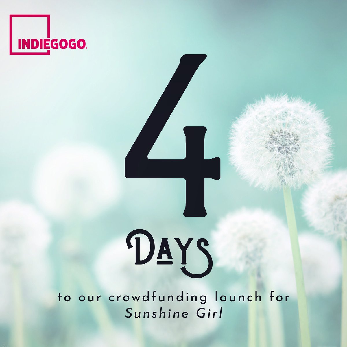 Sunshine Girl tweet media