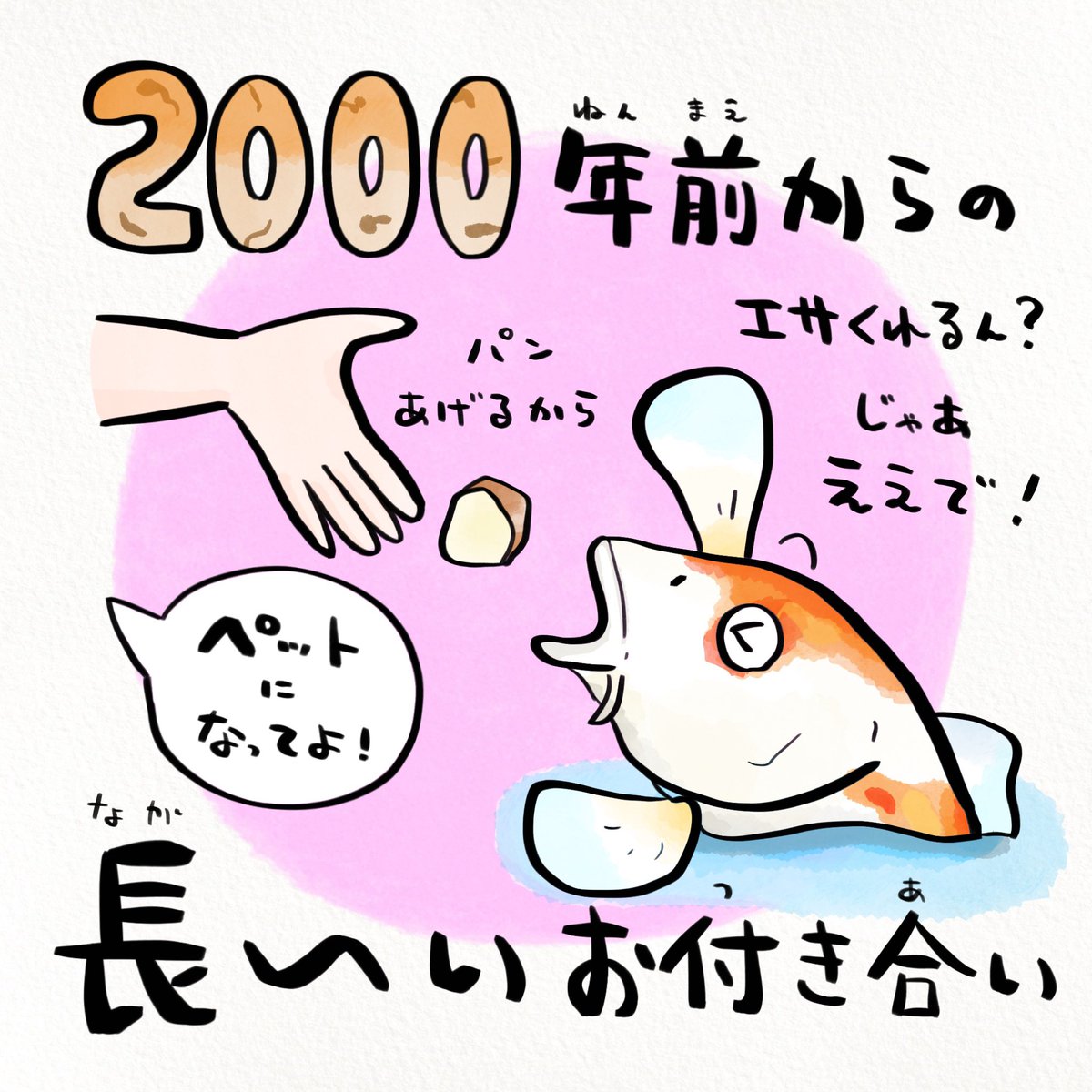 GW最終日、今日は子どもの日。鯉のぼりの鯉は思ってる以上に長生き! 