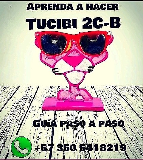 RosaPanthera's tweet photo. Hola bienvenido a de pink panther Oficial, guia paso a paso, visita nuestra página web
https://t.co/deW6Ga1148
.
#tuci #tusi #tucibi #tusibi  #ElectroHouse #Musica #party #partyperu #partychile #parquelleras  #PoolParty  #pabloescobargaviria #Electromusic  #techno #technomusic https://t.co/w2mjjcn3T8