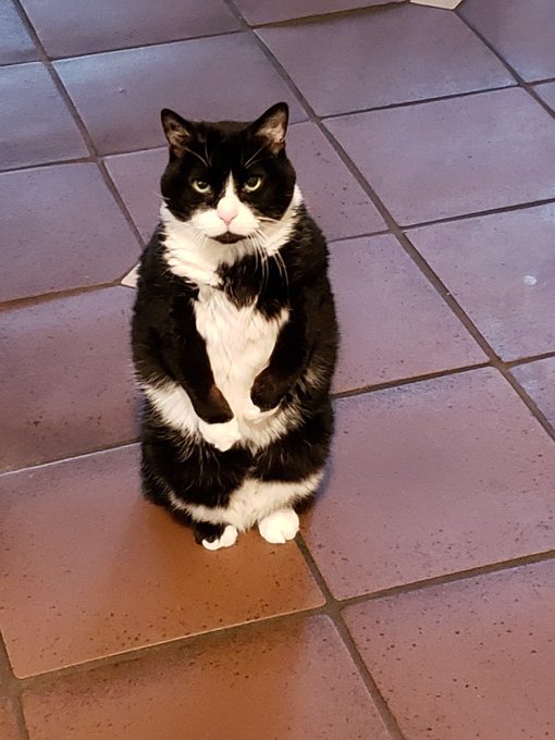 how cammers look when we take id photos https://t.co/AEZGsYdMsn<a href="/tag/mvsales"class="tags"><span>#mvsales</span></a><a href="/tag/mvtrans"class="tags"><span>#mvtrans</span></a>