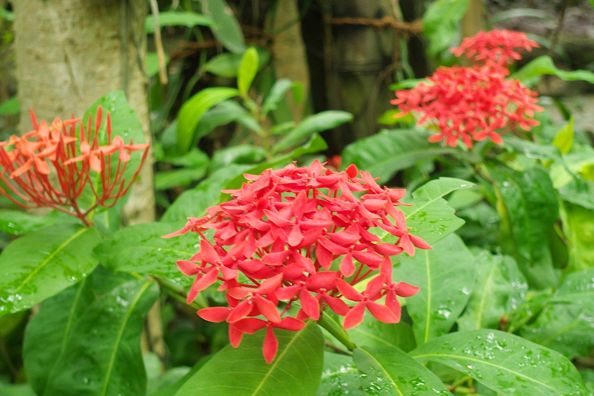 See Toramu1997 S Tweet On May 4 21 Twitter