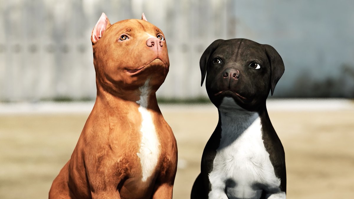 If you love #dogs #doggos #furbabies &amp; #floofs, the new film #Chance is for you! Check it out here: amzn.to/33b8mMe