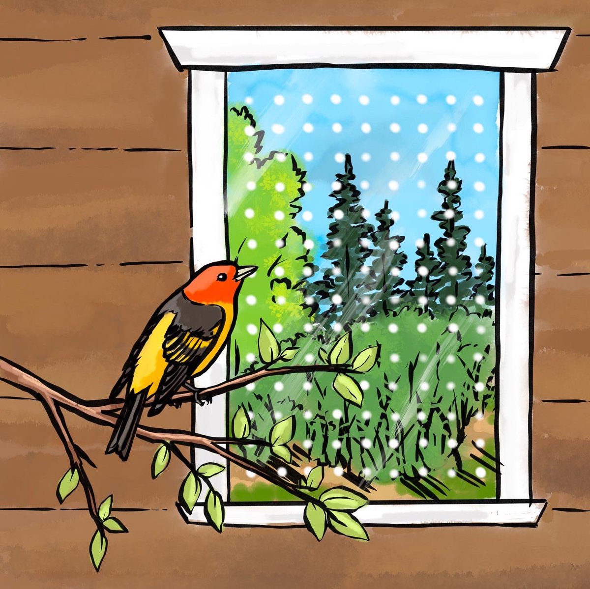 Before &amp; after adding bird safe window treatments on your house! 
#savethebirds #birds #sciart