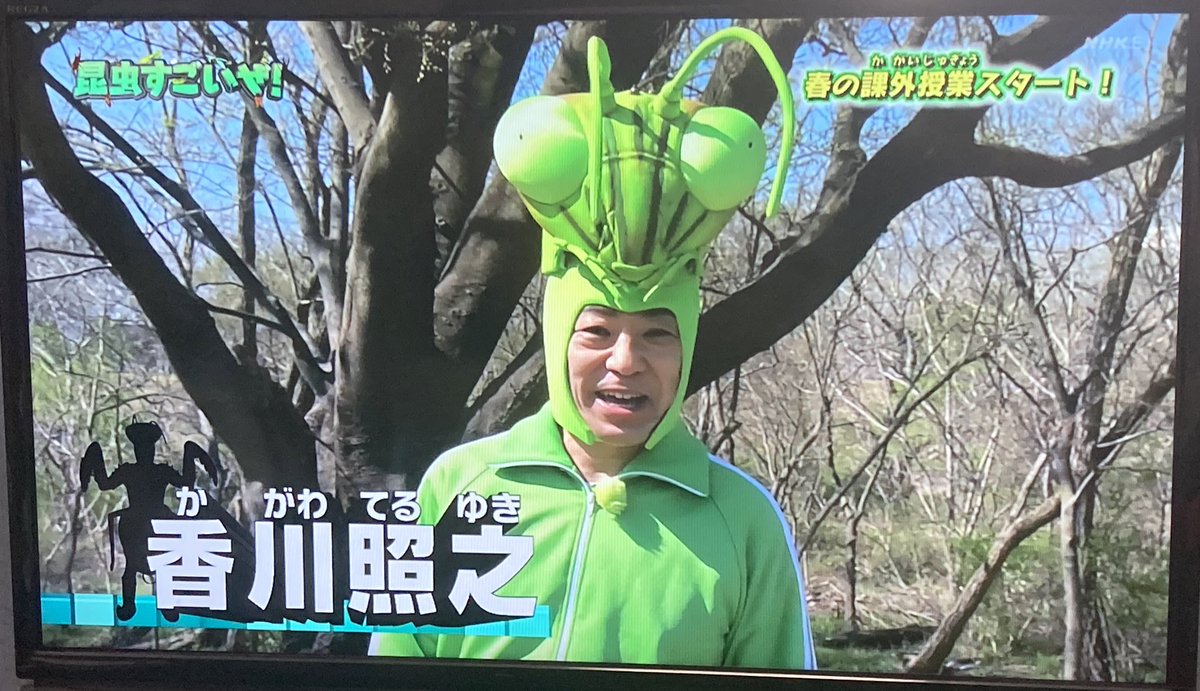 昆虫すごいぜ 香川照之さんと寺田心くんテントウムシ採集で競争 心くんのコメントが冴え渡る Togetter